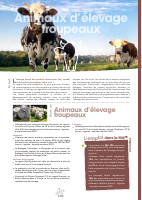 ELEVAGE animaux troupeaux (1).pdf